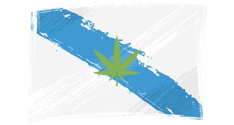 Venta De Marihuana Y Hash Extraccion Top 5 Y Mas En Vigo