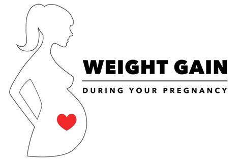 How Much Weight Gain In Each Trimester Beauty Clog