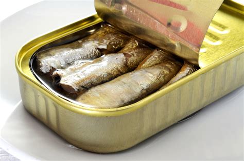 Fish Found In Canned