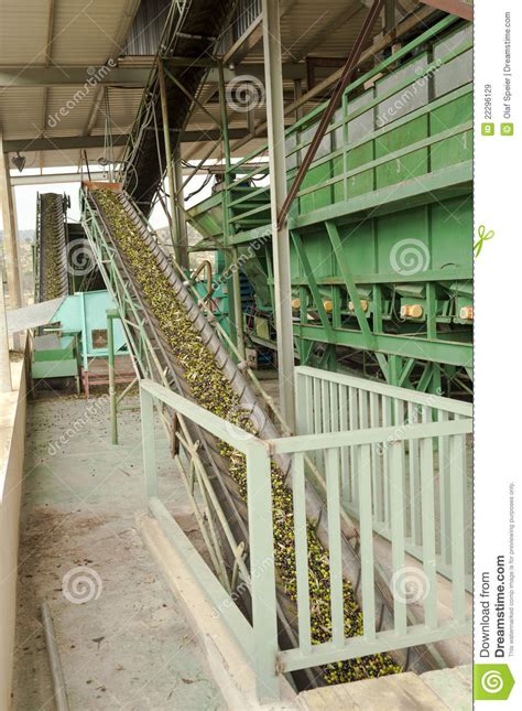 Olive Mill In Action Stock Image Image Of Factory Press 22296129
