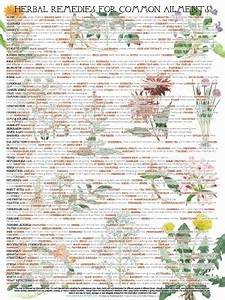 Herbal Remedies Chart