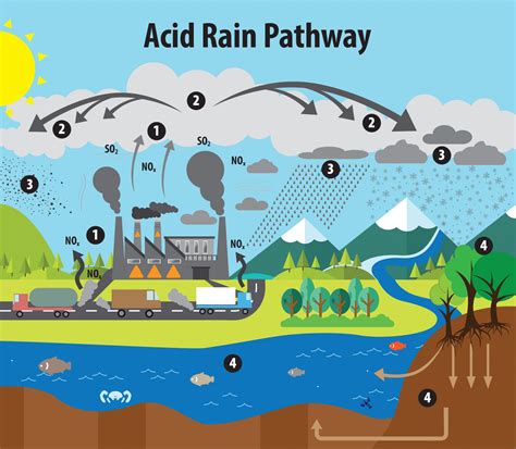 How Air Pollution Causes Acid Rain Breeze Technologies