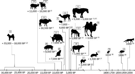 Estimated Starting Points Of Domestication Processes For Different