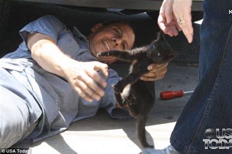 Such A Great Story Road Trip A Five Week Old Kitten Was Rescued From The Bumper Of A Car After