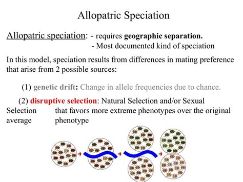 Bio413 07 Sympatricspeciationspecies Conceptsallopatricspeciation