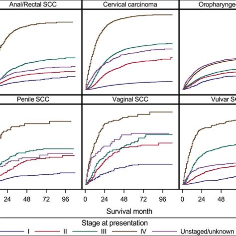 Cumulative Incidence Curves For Cancer Specific Mortality Stratified By