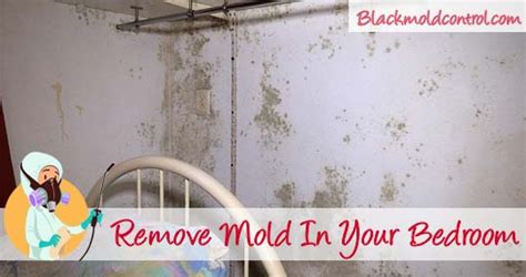 Don't forget to bookmark what causes mould in bedrooms using ctrl + d (pc) or command + d (macos). Black Mold in Bedroom? Learn How to Remove Bedroom Mould!