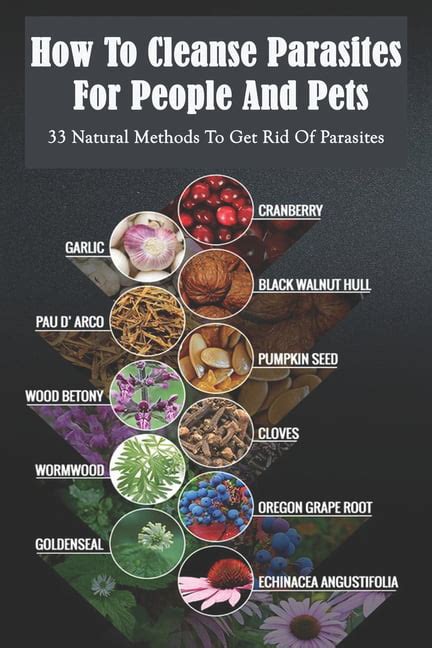 How To Cleanse Parasites For People And Pets 33 Natural Methods To