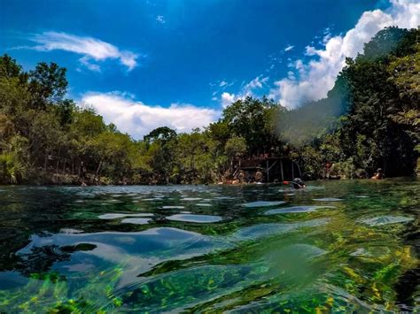 How to Visit Eden Cenote in Playa del Carmen in 2024