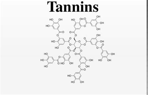 Wine Tannins Properties Explained Veritas Vineyard