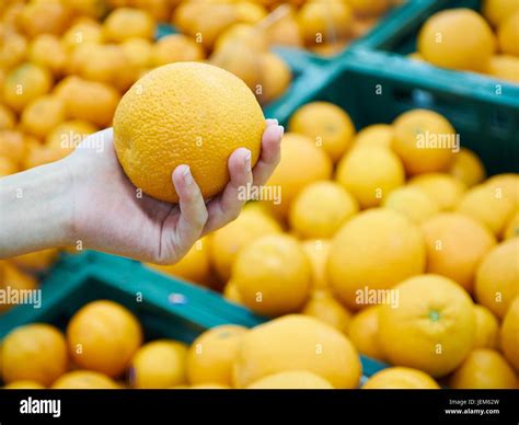 Girl Hand Holding Orange Stock Photo Alamy