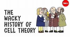 The wacky history of cell theory - Lauren Royal-Woods