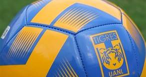 ⚽️🐯 ¡Nuevo producto recién llegado a Tigre Tienda! Descubre el Balón oficial del Club Tigres y disfruta del juego con garra. 🔥 Encuéntralo en Tigre Tienda online y sucursales físicas. | Tigre Tienda