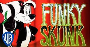 Merry Melodies: 'Skunk Funk' ft. Pepé Le Pew | Looney Tunes SING-ALONG | WB Kids