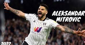 Aleksandar Mitrovic 2022/2023 ● Best Skills and Goals ● [HD]