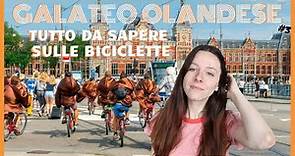 Tutto da sapere sulle bici in Olanda | Galateo Olandese #3