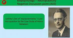 The Case Study of Henry Molaison for A Level Psychology