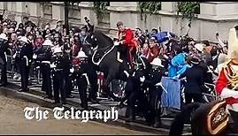 King's coronation: Horse loses control and crashes into crowds