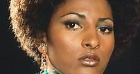 Pam Grier | Actress, Writer, Soundtrack