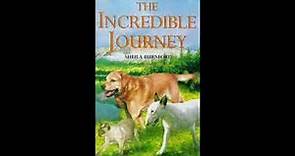 The Incredible Journey by Burnford Sheila #AUDIOBOOK #englishstory #story