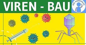 Viren - Bau, Symptome, Aufbau & Merkmale einfach erklärt - Genetik - Virengenetik & Bakteriengenetik