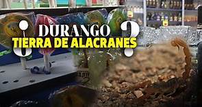 Alacraneros: El viejo oficio de atrapar alacranes en Durango