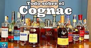 Qué es el Cognac, Cuál es el Mejor Cognac, Cuántos tipos de Cognac Hay | Coñac