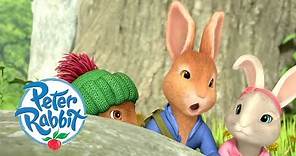 Peter Rabbit - Meeting all the Rabbits and Friends | Cartoons for Kids
