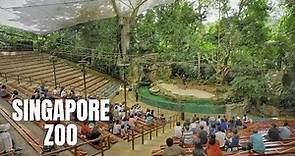 Singapore Zoo Walking Tour (4K HDR)