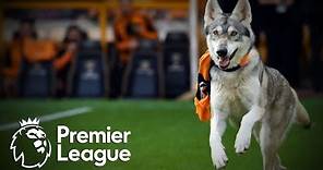 Why Wolverhampton Wanderers are known as Wolves | Premier League: Ever Wonder? | NBC Sports