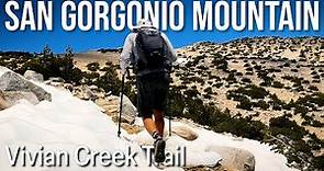 San Gorgonio Mountain via Vivian Creek Trail – SoCal’s Highest Peak