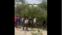 Tree falls on people at the San Antonio Zoo