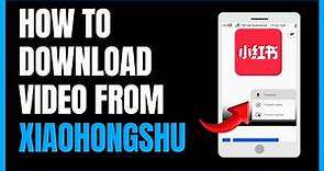 How To Download Video From Xiaohongshu | Download Guide