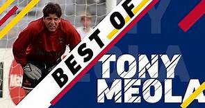Tony Meola Best Saves