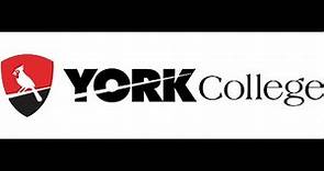 York College- The City University of New York