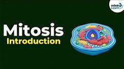 Introduction to Mitosis | Don't Memorise