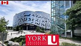 York University Campus: Full Tour 2023