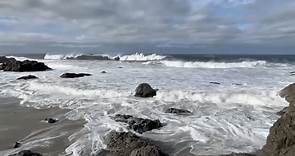 Travelers head to Bodega Bay amid stormy weather