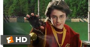 Harry Potter and the Sorcerer's Stone (4/5) Movie CLIP - Catching the Snitch (2001) HD