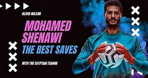 افضل تصديات العالمي محمد الشناوي مع المنتخب المصري | Mohamed El Shenawy's best saves