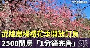武陵農場櫻花季開放訂房 2500間房「1分鐘完售」｜華視新聞 20231101