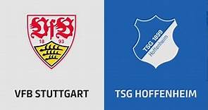 VfB Stuttgart - TSG 1899 Hoffenheim [Highlights & Tore | 9. Spieltag | Bundesliga 23/24]