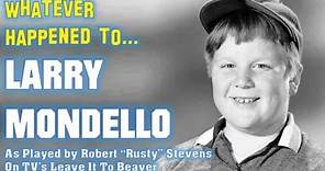 Whatever Happened to Larry Mondello from TV's "Leave It To Beaver"