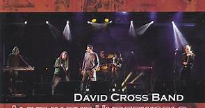 David Cross Band - Alive In The Underworld