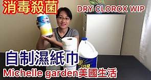 （16）自制消毒剎菌濕紙巾，方法簡單實用！DIY disinfectant wipes using what you have！