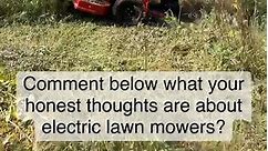 What are your thoughts about all the new electric lawn mowers? #lawncarenut #lawncare #mowers #lawnmowers #mowing | Green Industry Podcast with Paul Jamison