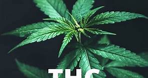 What is THC: Benefits & Side Effects | Cannabis Place
