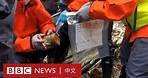 東航波音737客機墜毀：一部黑匣子已找到 發現飛機殘骸和遺體殘骸－ BBC News 中文