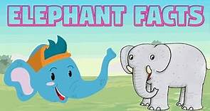 Elephant Facts for Kids - Interesting facts about elephant - Elephant Facts in English