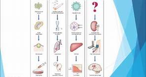 Pathology - Introduction and disease nomenclature
